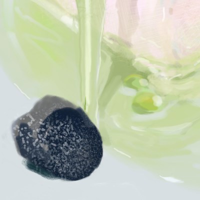 20220205-0701_sea bass with cardoon stalks_digital paint_txaqui_arantxa-quinones_d02